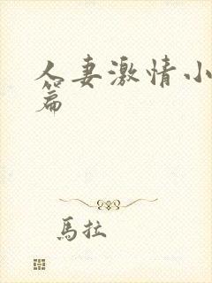 人妻激情小说短篇封面