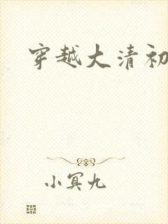 穿越大清初年