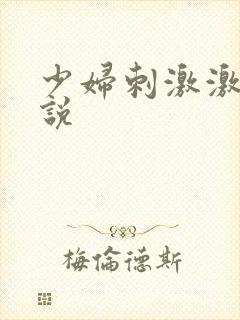 少妇刺激激情小说