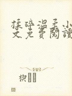 揉碎温柔小说全文免费阅读