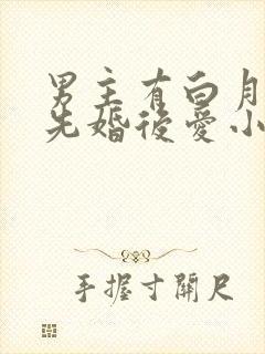 男主有白月光的先婚后爱小说