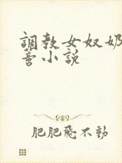 调教女奴奶头阴蒂小说