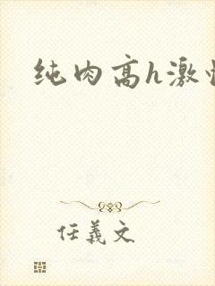纯肉高h激情封面