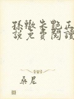 孙辙朱艳正版小说免费阅读