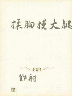 揉胸摸大腿小说