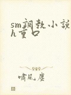 sm调教小说高h重口