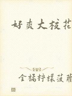 好爽大校花h文