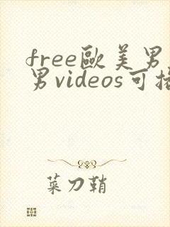 free欧美男男videos可播放