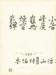 武炼巅峰小说无弹窗无广告