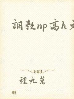 调教np高h文