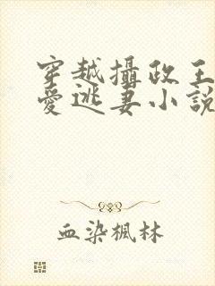 穿越摄政王的侍爱逃妻小说