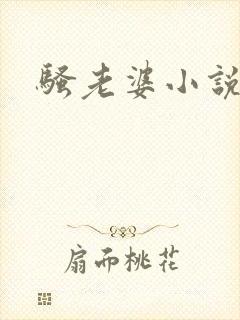骚老婆小说