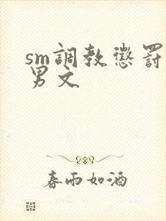 sm调教惩罚男男文