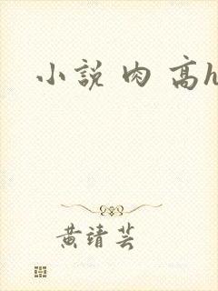 小说 肉 高h