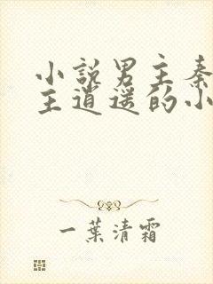 小说男主秦默女主逍遥的小说