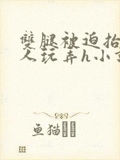 双腿被迫抬起任人玩弄h小说