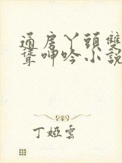 通房丫头双乳高耸呻吟小说