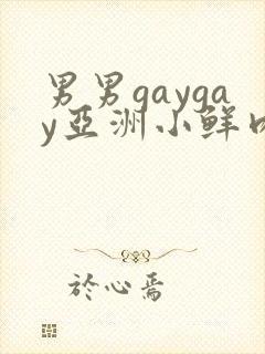 男男gaygay亚洲小鲜肉网站封面