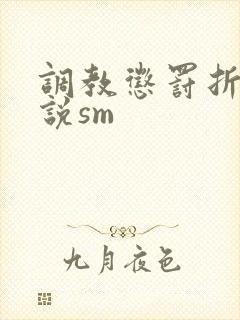 调教惩罚折磨小说sm