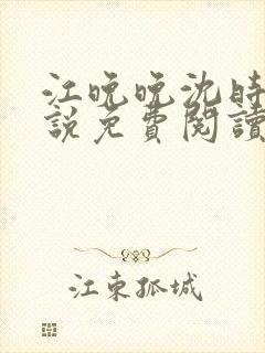 江晚晚沈时霆小说免费阅读封面