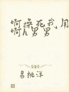 啊操死我用力插啊h男男封面