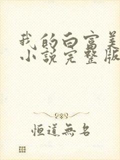 我的白富美老婆小说完整版封面