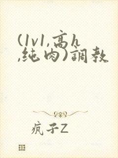 (1v1,高h,纯肉)调教