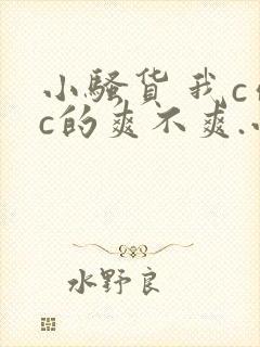 小骚货 我c你c的爽不爽.小说刺激