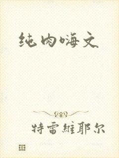 纯肉嗨文
