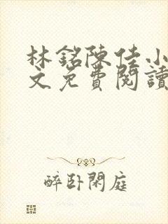 林铭陈佳小说全文免费阅读最新章节封面