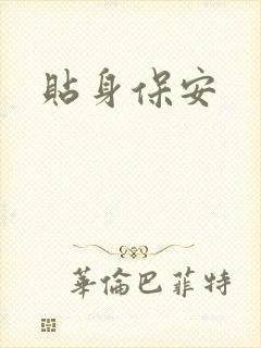 贴身保安封面