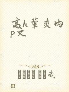 高h荤爽肉〈np文