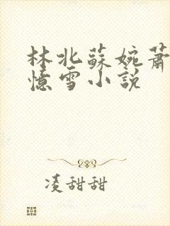 林北苏婉萧晴韩忆雪小说