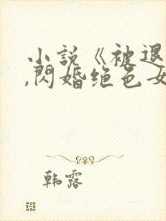 小说《被退婚后,闪婚绝色女总裁》封面