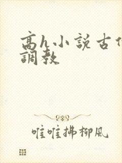 高h小说古代穴调教封面