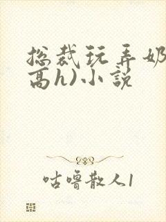 总裁玩弄奶头(高h)小说