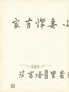 家有悍妻 小说封面