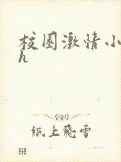 校园激情小说高h封面