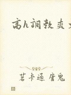 高h调教爽文封面