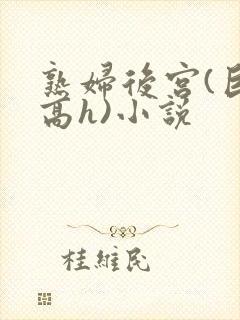 熟妇后宫(巨肉高h)小说