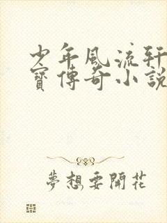 少年风流轩辕大宝传奇小说封面