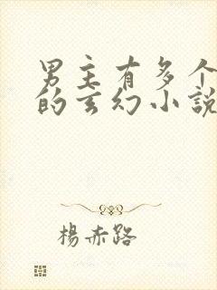 男主有多个老婆的玄幻小说