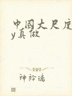 中国大尺度gay真做