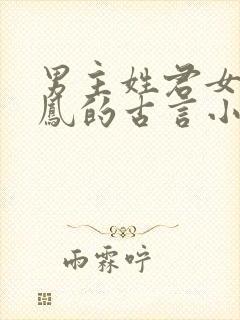 男主姓君女主姓凤的古言小说