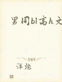 男同bl高h文封面