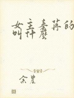 女主秦苒的小说叫什么