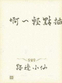 啊～轻点插小说