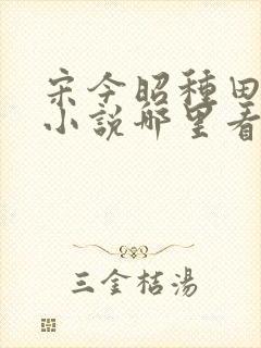 宋今昭种田致富小说哪里看
