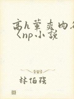 高h荤爽肉欲文〈np小说