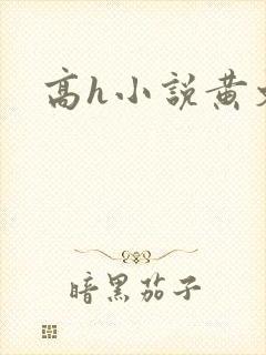 高h小说黄文封面